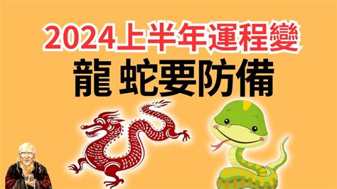 丙辰龍2024|2024年屬龍人的全年運勢（超詳細）